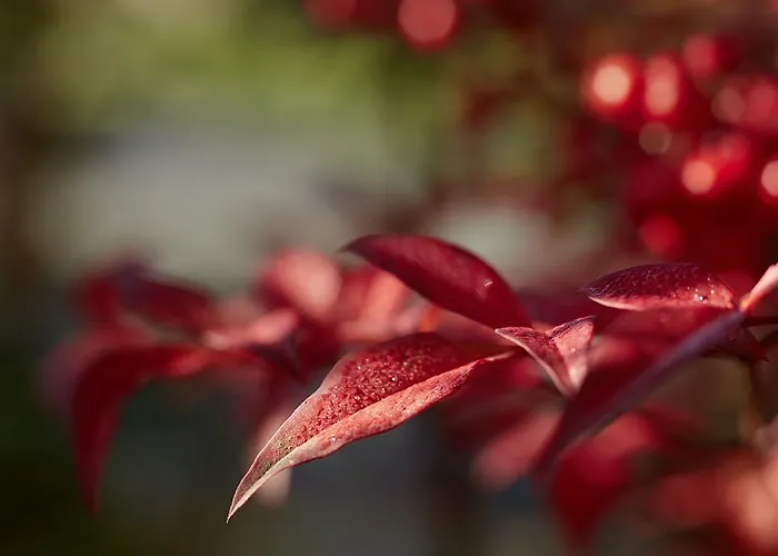 Castillo Del Bosque La Zoreda Hotel 5*